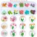UNIME Nail Art Dried Flowers - 24 Colors Mini Real Natural Flowers for Manicure Decoration - Buy Online on GoSupps.com