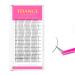 TDANCE Premade Spikes Eyelash Extension Supplies Thickness 0.07 D Curl Mix 14-19mm Matte Black Eyelash Extensions Spikes Fans(Spikes D-0.07 14-19mm) Spikes-0.07-D 240 Piece Assortment