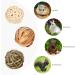 9-Piece Chewing Case Set for Small Animals - Natural Grass Toys for Rabbits Guinea Pigs & Chinchillas - Buy Online on GoSupps.com