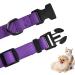 Audwud Thick Nylon Neck Band | Adjustable Classic Dog Collar in 4 Sizes & Colors | Perfect for Small Medium & Large Dogs - XS: 25-36 cm in Purple - Buy Online on GoSupps.com
