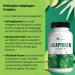 Lifetropics Adaptogen Complex | Plant-Based Supplement with Ashwagandha, Rhodiola Rosea & Bacopa Monnieri | 90 Vegecaps - Buy Online on GoSupps.com