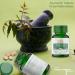 Neem Tablets Vedic Supplements - Supports Skin Immune & Detox - Buy Online on GoSupps.com
