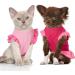 Pet Princess Dress Shirt - 4-Piece Cute Dog Sundress Set for Small Dogs & Cats - Summer Apparel with Ruffles - Puppy Skirt Shirt - Buy Online on GoSupps.com