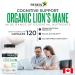 Renew Actives Premium Organic Lion's Mane Mushroom - Supports Brain Function Memory Focus Stress Relief and Immune Health Gluten-Free Non-GMO Vegan Made in Canada - 120 Capsules (2pk) 120 count (Pack of 2) - Buy Online on GoSupps.com