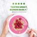 Vega Protein & Greens Berry - 20g Vegan Protein Powder | Low Carb, Keto, Dairy & Gluten Free | 1.7 lbs - Buy Online on GoSupps.com