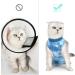 Lianzimau Katzenbody - Post-Op Cat Body Suit for Recovery | Medical Cat Clothing | Anti-Losing Collar Alternative - Blue Catwear - Buy Online on GoSupps.com