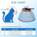 Idogchew Foldable Soft Protective Collar for Cats - Post-Surgery Recovery & Injury Protection (Blue S) - Buy Online on GoSupps.com