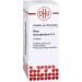 Buy DHU Rhus Toxicodendron D6 for Rheumatic Pain - Tasteless 80 Tablets | Fast International Shipping - Buy Online on GoSupps.com
