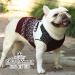 Warm Christmas Dog Sweater | Cartoon Christmas Tree & Reindeer Knitwear for Cats & Dogs - XL Winter Outfits - Buy Online on GoSupps.com