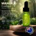 100% Pure New Zealand Manuka Oil | Organic Essential Oil | 35x Stronger Than Tea Tree | Natural Skin Care | Toenail Treatment | Diffuser | Aromatherapy | Nails | Hair | Skin | Lips 0.33 Fl Oz (Pack of 1) - Buy Online on GoSupps.com