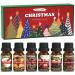 SALKING Christmas Fragrance Oils Essential Oils Gift Set Diffuser Oils Scented Oils for Soaps Candle Making - Christmas Wreath Apple Cinnamon Gingerbread Candy Cane Christmas Pudding Eggnog