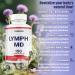 SXNWSN Lymph MD Comfort Capsules - Fast-Acting Dandelion & Bromelain Blend | Post-Meal Support for Foodies & Travelers Vegan Gentle Formula (150 Capsules) - Buy Online on GoSupps.com