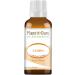 Cumin Essential Oil 1 oz / 30 ml 100% Pure Undiluted Therapeutic Grade.