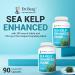Dr. Berg Sea Kelp Enhanced Iodine - 200 mcg of Premium Iodine - Seaweed Blend Includes Klamath Blue-Green Algae & Sea Kelp - 90 Capsules Without Red Algae - Buy Online on GoSupps.com