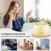 TAIGUCAT 300ML Aromatherapy Essential Oil Diffuser - 8 Hours Quiet Electric Air Diffuser with Remote Control and 7 LED Color Changing Lights - Yellow - Buy Online on GoSupps.com