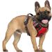 Adjustable Heele No-Pull Dog Harness for Small Dogs - Reflective Breathable Padded Handle | XS Size (33-43cm) - Red - Buy Online on GoSupps.com