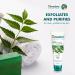 Himalaya Purifying Neem Scrub Helps Fights Pimples Prevents Marks Controls Excess Oil Exfoliates and Purifies Skin | Best for Normal to Oily Skin -75ml - Buy Online on GoSupps.com