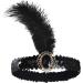 WLLHYF 1920s Headbands for Women Black Feather Hairband Rhinestone Crystal Flapper Headpiece 20s Vintage Beaded Leaf Hairband Hair Valentines Accessory for Girls Costume Party (Black Crystal) - Buy Online on GoSupps.com