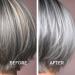 Just Nutritive Purple Toning Shampoo for Blonde Gray & Bleached Hair - Eliminate Brassiness Boost Shine & Hydrate | Sulfate & Paraben-Free - 8 oz - Buy Online on GoSupps.com