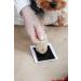 Pearhead Pet Ink Print Pad - Black | Easy Pet Paw Print Kit - Buy Online on GoSupps.com