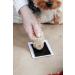 Pearhead Personalized Dog & Cat Memorial Box | Rainbow Bridge Pet Urn - Modern Heartfelt Tribute - Buy Online on GoSupps.com