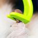 Mydaisy 3-Set Ticking Tongs for Dogs & Cats - Essential Tick Pliers for All Sizes - Remove Ticks Easily & Safely - Buy Online on GoSupps.com