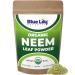 Blue Lily Organic Neem Leaf Powder (Azadirachta Indica) 16 oz (454 gm) | USDA Certified | 100% Pure Neem Leaves Powder for Skin & Hair Care | Immune Support | Ideal for All Hair and Skin Types 1 Pound (Pack of 1)