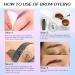 Brown 2-in-1 Eyelash & Eyebrow Color Kit - Instant Hair Color for Lash & Brow | Lamination & Lift Set - Buy Online on GoSupps.com