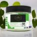 Lavya Luxuary Peppermint Pure Natural Bath Salt Formula for Body & Foot Spa Relaxing  Musle Recovery  Heals Body Pain  Reduce Stress and Fatigue 16Oz / 456Gms (Peppermint) Light Green