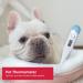 Pet First Aid Kit - 170-Piece Cat & Dog Emergency Kit with Thermometer, Collar, Blanket - Home, Travel, Car, Camping Essential - Buy Online on GoSupps.com