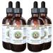 Coptis Alcohol-Free Liquid Extract Coptis (Rhizoma Coptidis) Dried Root Glycerite Hawaii Pharm Natural Herbal Supplement 4x4 oz 16 Fl Oz (Pack of 1)