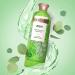 Beloved Vegan Body Wash - Lush Eucalyptus & Aloe Vera | 18oz - Softens & Hydrates Skin - Buy Online on GoSupps.com