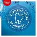 Colgate Plax Lot de 4 bains de bouche la menthe fra che avec protection contre la plaque 24h/24 7j/7 bain de bouche sans alcool** avec fluorure bain de bouche v g talien lot de 4 bouteilles de 500 ml (Lot de 4) Plax - Buy Online on GoSupps.com