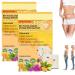 Daasry Bienengift lymphatic drainage slimming paving bee venom lymphatic drainage and slimming plaster for women and men 2 pieces 2 boxes