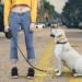 Idepit Heavy Duty Retractable Dog Leash | Anti-Chewing Steel Chain | 360 Tangle-Free | Small & Medium Dogs | 16ft | Black - Buy Online on GoSupps.com