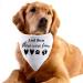 1 Piece Baby Announcement Dog Bandana And Then There Were Four Dog Bandana New Baby Gift Pregnancy Gift (Were Four White) - Buy Online on GoSupps.com