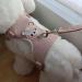 3-Piece Adjustable Rabbit & Cat Leash Set - 120cm Harness for Dwarf Rabbits & Cats (3-6kg) - Perfect Cat Dishes Included - International Shipping Available - Buy Online on GoSupps.com