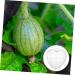 KICHOUSE Fruit Forming Mold Heart Shaped Watermelon Molds Vegetable Forming Machine Watermelon Growing Mold - Buy Online on GoSupps.com