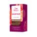 Color Touch Fresh-Up-Kit - Semi-Permanent Coloring Kit 7/1 Medium Ash Blonde - Ash Blonde