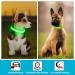 KOSKILL LED Dog Collar - Waterproof & Adjustable USB Rechargeable Bright Green for Small Dogs - Safe & Reflective Design - Buy Online on GoSupps.com