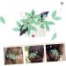 PLAFOPE Hair Comb Hair Accessories Wedding Pearl Clips for Hair Womens Hair Clips Bridal Hair Clip Pearl Hair Accessories Green Tiara Pearl Hair Clips Teasing Combs for Women Metal - Buy Online on GoSupps.com