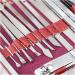 19 Pieces of Portable Exquisite Nail Tools Nail Scissors Set Household Stainless Steel Ear Pick Pedicure Nail Scissors (Color : Red) - Buy Online on GoSupps.com