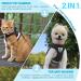 Supet Cat Harness and Leash Set - Adjustable Soft Mesh Vest for Walking Cat and Small Dog - Reflective Strap for Safety - Comfort Fit for Pet - Black (Chest 11-13) - Buy Online on GoSupps.com