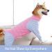 XXL Pink Dog Operating Suit - Breathable Recovery Pajamas for Pets Anti-Lick & Abdominal Wound Protection Post-Op Garment - Buy Online on GoSupps.com