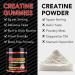 Daiasns Creatine Monohydrate Gummies Complex 5000mg for Men and Women - Vegan Creatine Chews for Muscle Growth Muscle Recovery Workout Recovery Anaerobic Endurance -120 Count - Buy Online on GoSupps.com