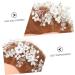 Ipetboom Flower Rhinestone Hair Comb Tiara Floral Hair Accessories Rhinestone Headpiece Bridal Side Flower Hair Comb Creative Hair Comb Women Hair Comb White Bride Plastic Hair up Wedding - Buy Online on GoSupps.com
