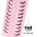 Parrarri Half Eyelashes - 10 Pairs Cat Eye 3D Reusable Fake Lashes | Premium Quality Artificial Eyelashes H-16 - Buy Online on GoSupps.com