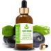 Buy Pure Herbs Acai Berry Oil 50ml - Natural Therapeutic Grade Carrier Oil with Pipettes - International Shipping Available - Buy Online on GoSupps.com