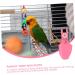 Angoily 3-Pack Parrot Suit - Bird Costume & Travel Accessories | Flight Suit Diaper & Pants for Parrots - Buy Online on GoSupps.com