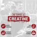 Rich Piana 5% Nutrition CreaTEN 10 Creatine Blend - Muscle Gain Powder for Power, Strength, Endurance, and Recovery - 9.52 oz (30 Servings) - Push Pop Flavor - Buy Online on GoSupps.com